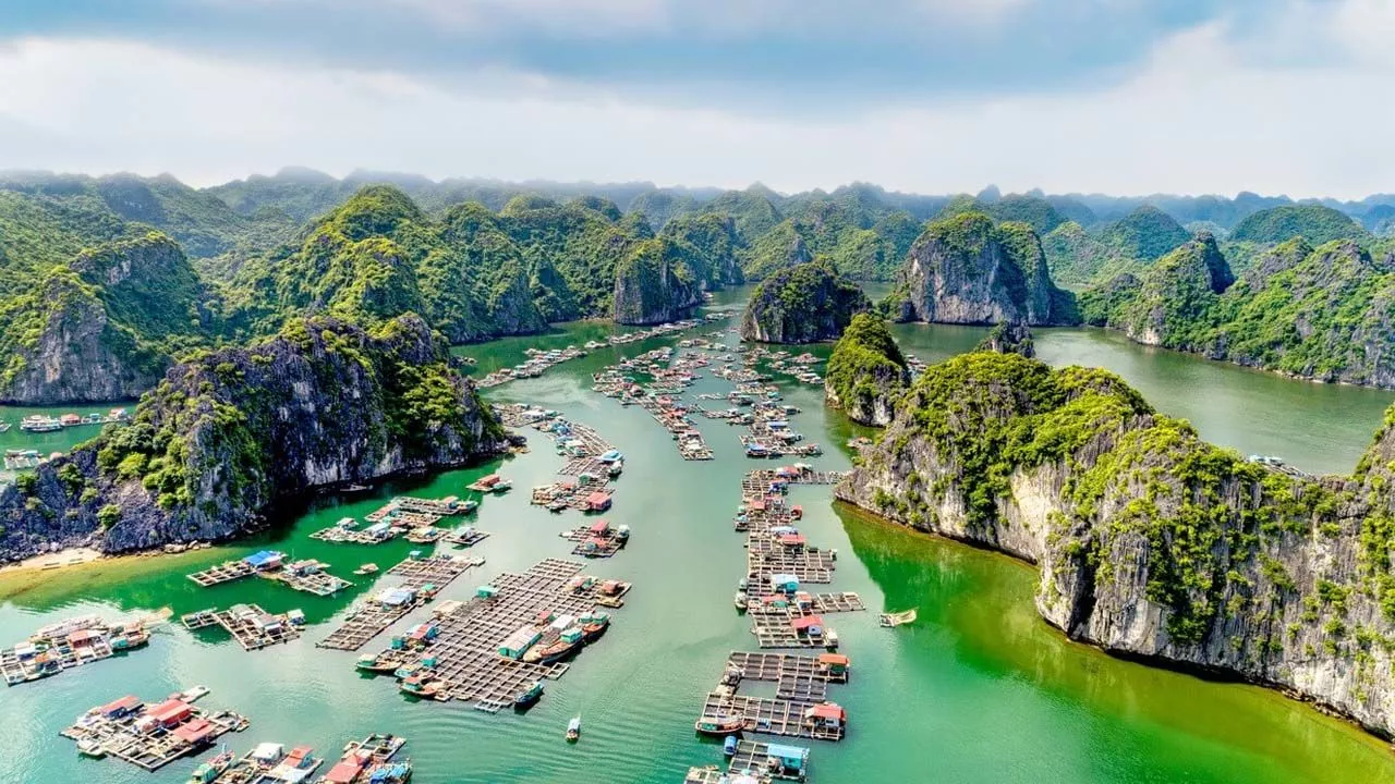 How to Make a Perfect Halong 1 Day Trip from Hanoi?