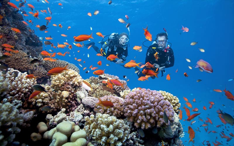 Snorkeling in Ha Long Bay – One of the Activities for Underwater Lovers